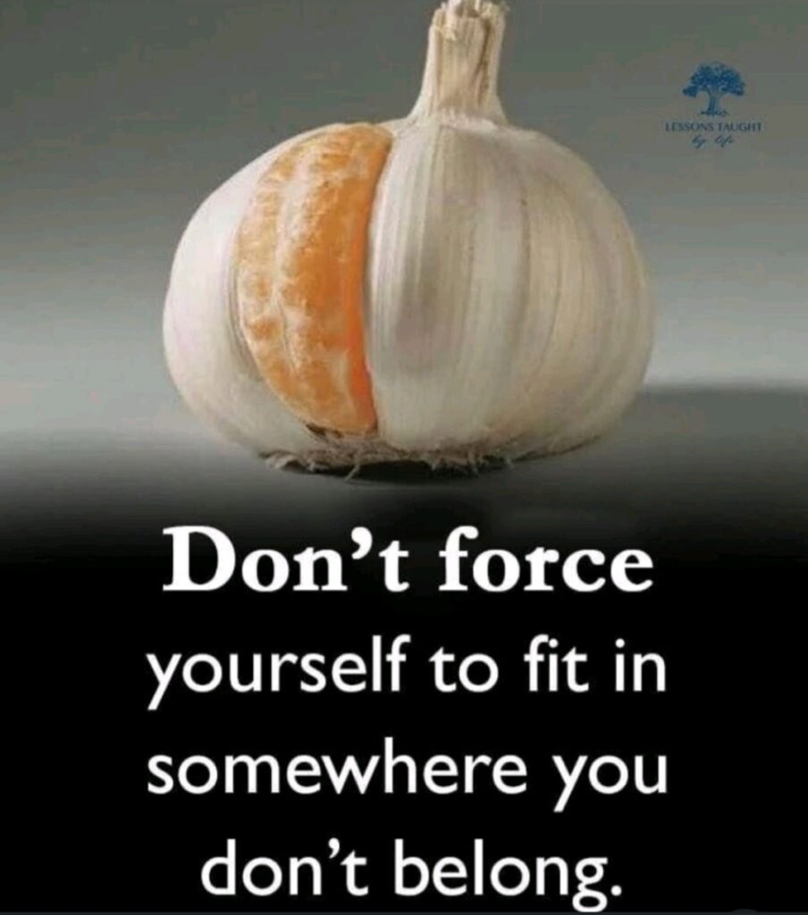 image of garlic with a slice missing and an orange put in with the saying "don't force yourself to fit in somewhere where you don't belong"